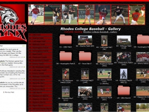 lynx-baseball-website-design